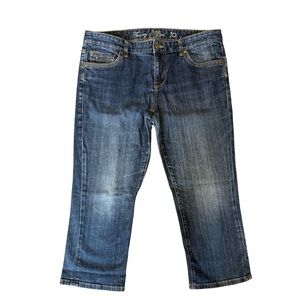 Tommy Hilfiger Relaxed Fit Blue Cropped Straight Leg Jeans Size 10 Casual Denim